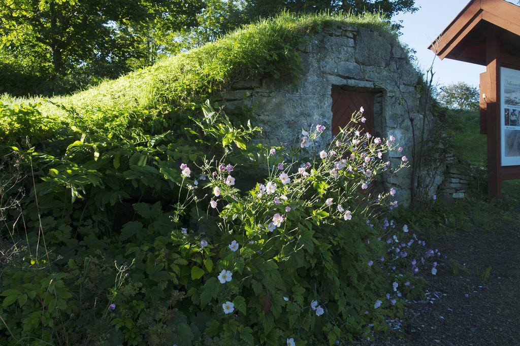 Loefwings B&B Broddetorp Exteriér fotografie